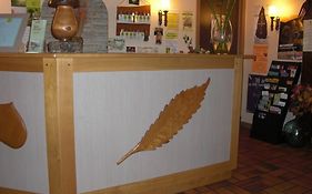 Logis Hôtel de France